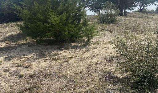 Photo #3 of 12 Carolina Cays, Wanchese, NC 9.9 acres