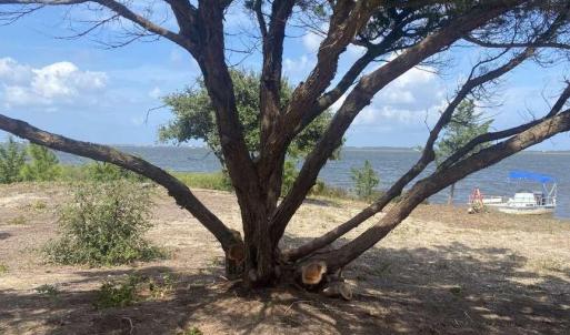 Photo #4 of 12 Carolina Cays, Wanchese, NC 9.9 acres