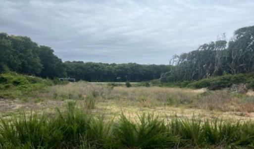Photo #13 of 4229 Johnston Lane, Kitty Hawk, NC 0.5 acres
