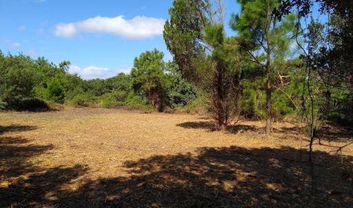 Photo #1 of 2236 Sandpiper Road, Corolla, NC