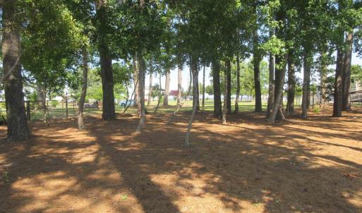 Photo #11 of 105 Mallard Court, Grandy, NC 0.5 acres