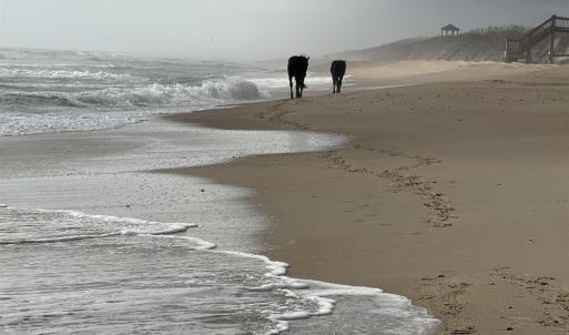 Photo #3 of 2391 Sandpiper Road, Corolla, NC 0.3 acres