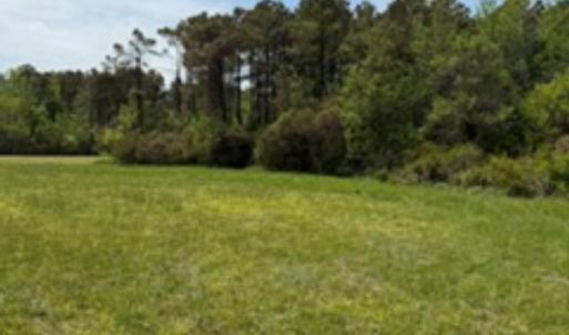 Photo #2 of 116 Hammock View Court, Aydlett, NC 0.5 acres
