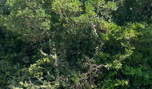 Photo #18 of NC 12 Highway, Buxton, NC 0.7 acres