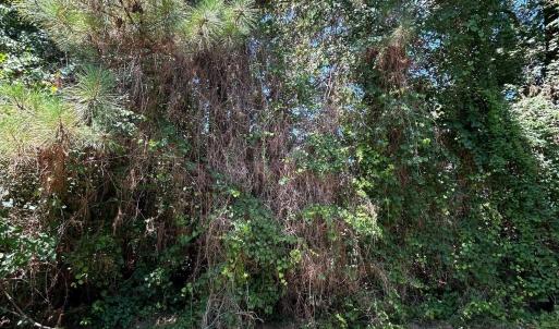 Photo #21 of NC 12 Highway, Buxton, NC 0.7 acres