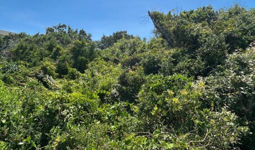 Photo #10 of NC 12 Highway, Buxton, NC 0.7 acres