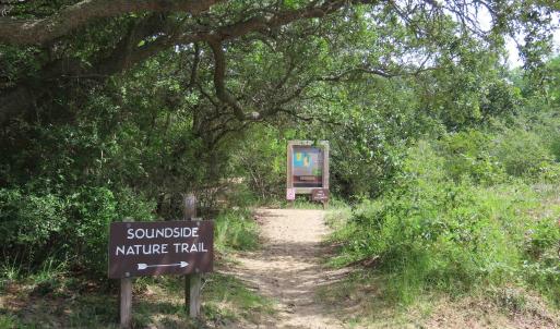 Photo #16 of Ridgeview Way, Nags Head, NC 0.5 acres