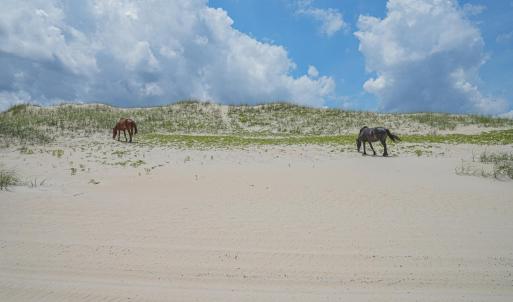 Photo #12 of 2245 Ocean Pearl Road, Corolla, NC 0.4 acres