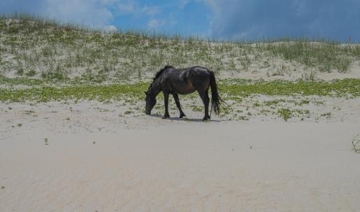 Photo #16 of 2247 Ocean Pearl Road, Corolla, NC 0.3 acres