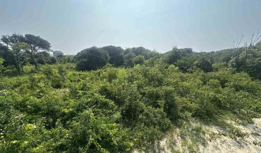 Photo #7 of 2109 Sandpiper Road, Corolla, NC 0.3 acres