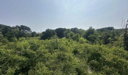 Photo #5 of 2109 Sandpiper Road, Corolla, NC 0.3 acres