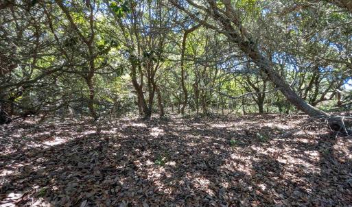 Photo #4 of 1612 Ocean Pearl Road, Corolla, NC 0.3 acres