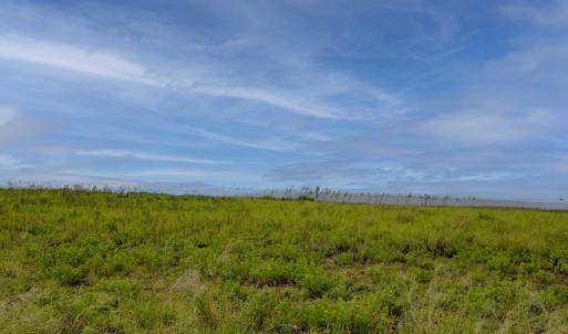 Photo #13 of 58160 Hatteras Harbor Court, Hatteras, NC