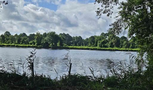 Photo #13 of WL33 East Waterway Drive, Belhaven, NC 237,402.0 acres