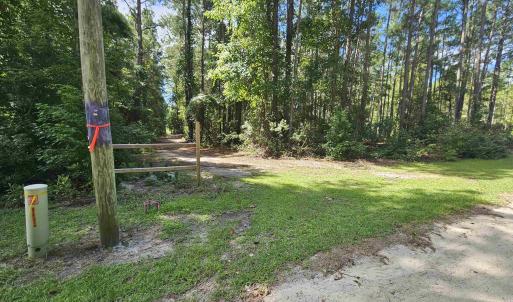 Photo #17 of WL33 East Waterway Drive, Belhaven, NC 237,402.0 acres