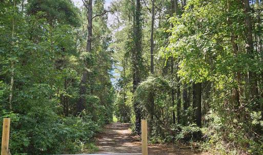 Photo #18 of WL33 East Waterway Drive, Belhaven, NC 237,402.0 acres