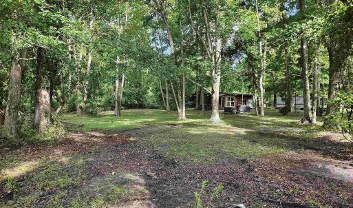 Photo #8 of WL33 East Waterway Drive, Belhaven, NC 237,402.0 acres