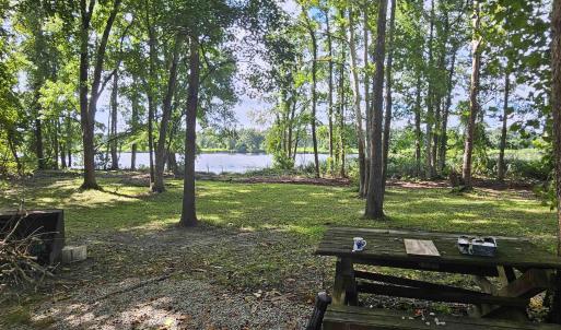 Photo #4 of WL33 East Waterway Drive, Belhaven, NC 237,402.0 acres