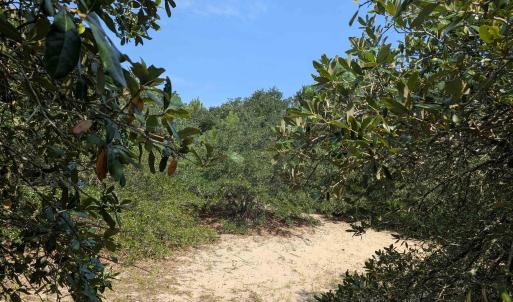 Photo #8 of 2244 Ocean Pearl Road, Corolla, NC 0.4 acres