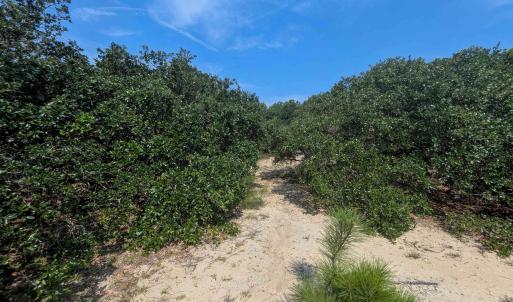 Photo #7 of 2244 Ocean Pearl Road, Corolla, NC 0.4 acres