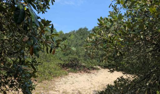 Photo #8 of 2244 Ocean Pearl Road, Corolla, NC 0.4 acres