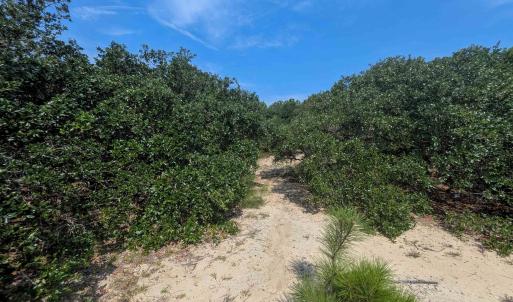 Photo #7 of 2244 Ocean Pearl Road, Corolla, NC 0.4 acres