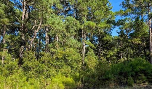 Photo #5 of 2375 Ocean Pearl Road, Corolla, NC 0.3 acres