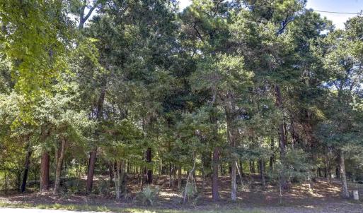 Photo #7 of 47310 Lost Tree Trail, Buxton, NC 1.0 acres