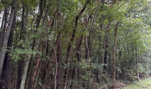 Photo #1 of Lots #9 & #14 North River Landing Road, Grandy, NC 2.6 acres