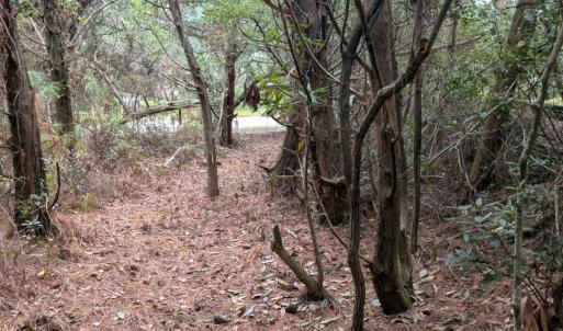 Photo #4 of Lot# 12 Sarah Ellen Drive, Ocracoke, NC 0.3 acres
