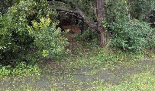 Photo #3 of Lot# 12 Sarah Ellen Drive, Ocracoke, NC 0.3 acres