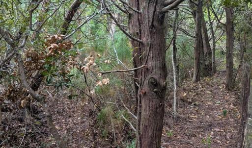 Photo #5 of Lot# 12 Sarah Ellen Drive, Ocracoke, NC 0.3 acres