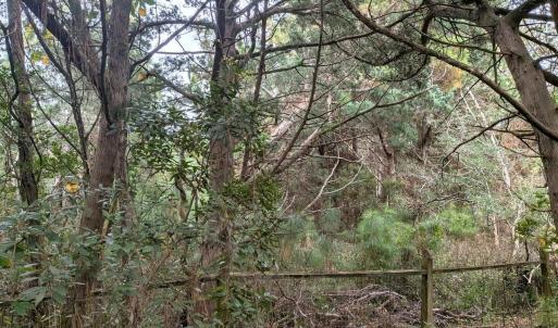 Photo #2 of Lot# 12 Sarah Ellen Drive, Ocracoke, NC 0.3 acres