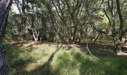 Photo #12 of 2393 Ocean Pearl Road, Corolla, NC 0.3 acres
