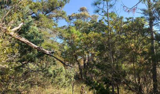 Photo #7 of 78 Beach Road, Ocracoke, NC 0.4 acres