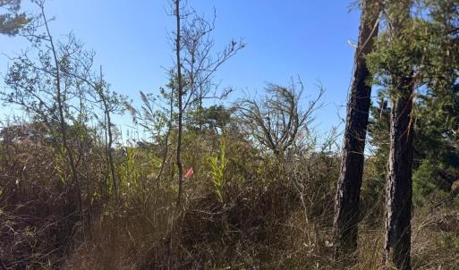 Photo #5 of 78 Beach Road, Ocracoke, NC 0.4 acres
