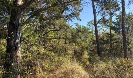Photo #6 of 78 Beach Road, Ocracoke, NC 0.4 acres