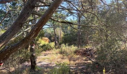 Photo #8 of 78 Beach Road, Ocracoke, NC 0.4 acres