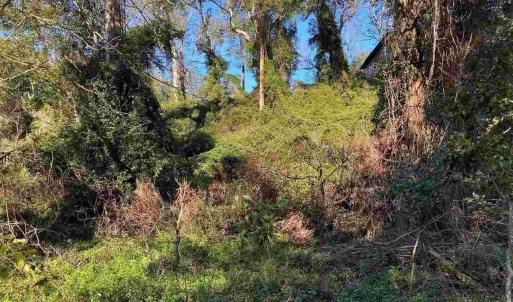 Large Lot in an 'X' flood zone!