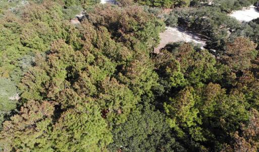 Photo #2 of 2017 Ridge Road, Corolla, NC 0.4 acres