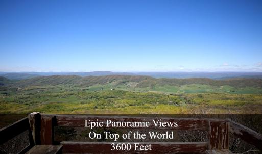 Panoramic Views
