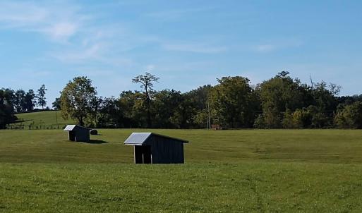 Pastures and run-in shelters