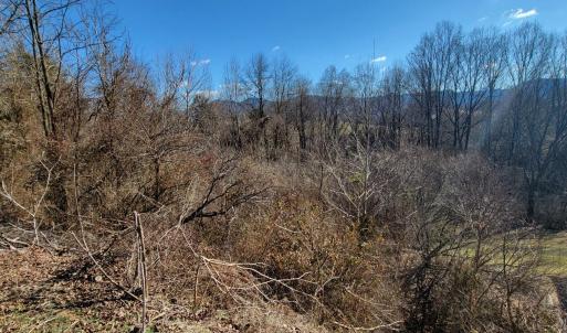 Mt Views