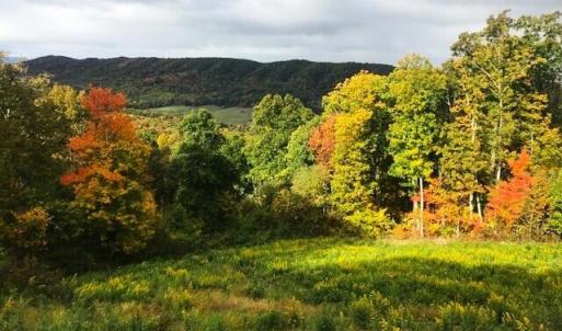 4.61 Acres DR #29
