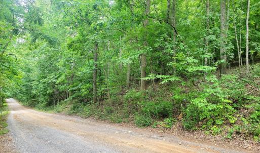 Poplar Place Lots