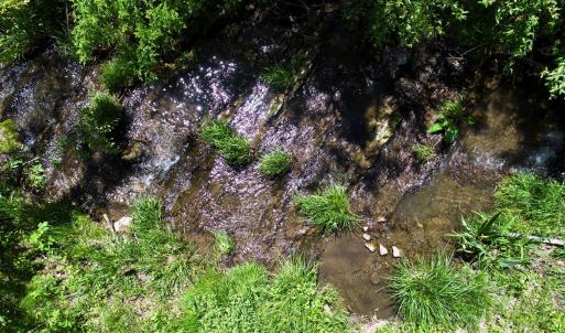 Creek