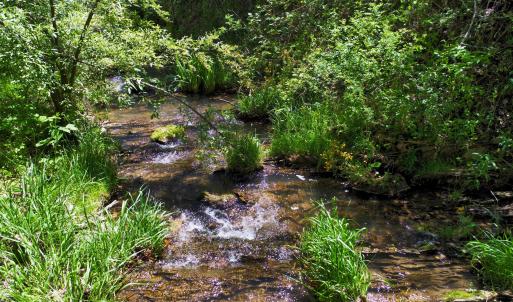 Creek