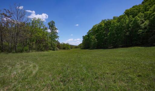 Pasture