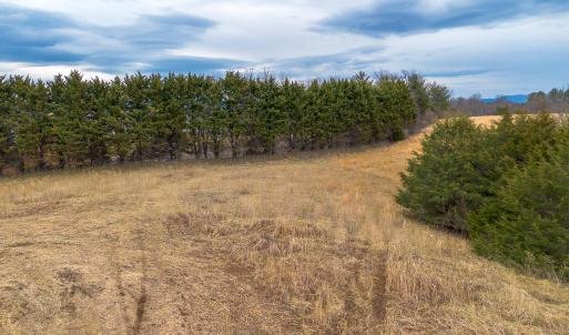 MLS Lot 8 Buckland-7