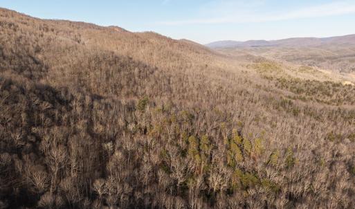DJI_20250304161142_0005_D
